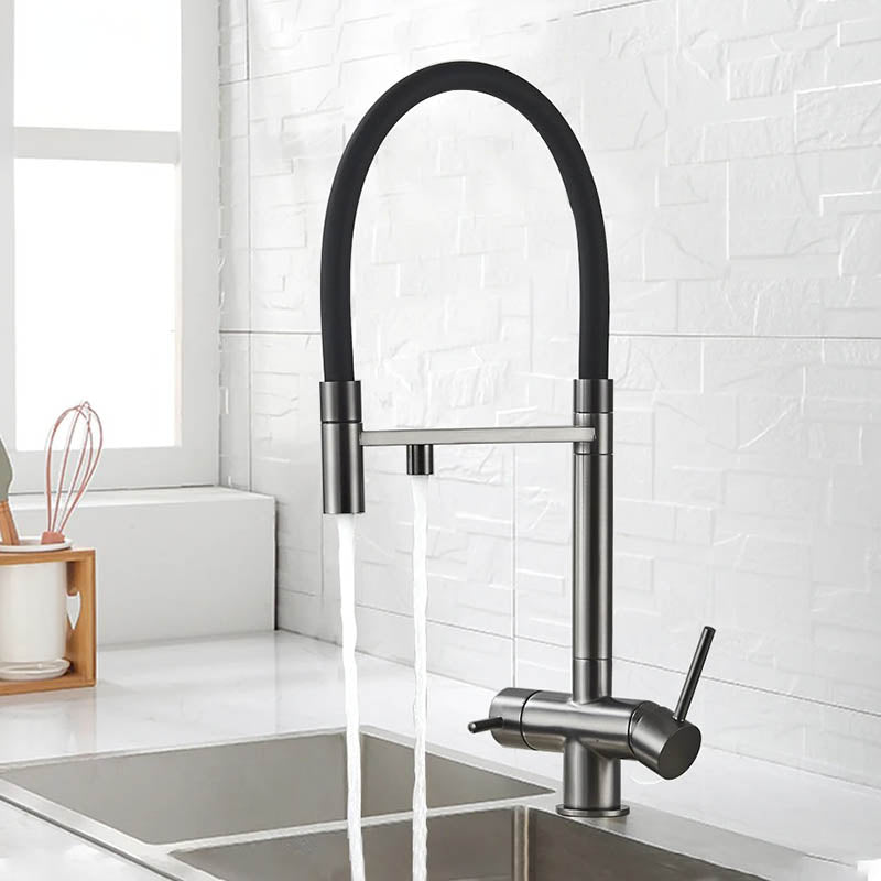 Kitchen Sink Tap with Pull Down Spray and Filter