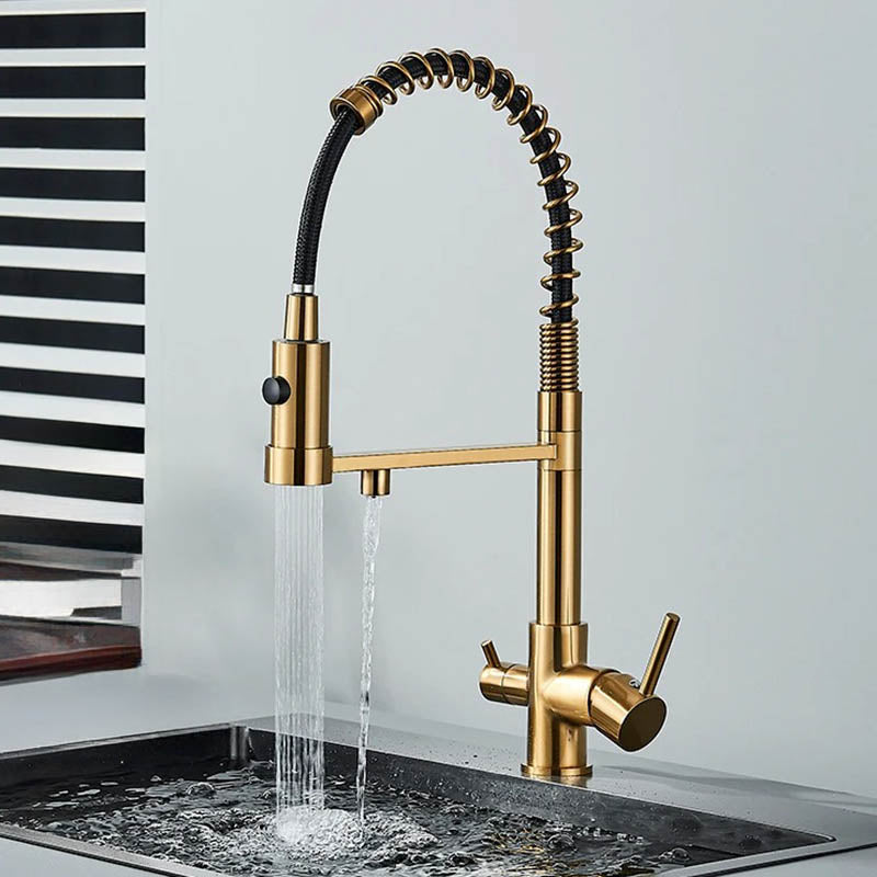 Kitchen Sink Tap with Pull Down Spray and Filter