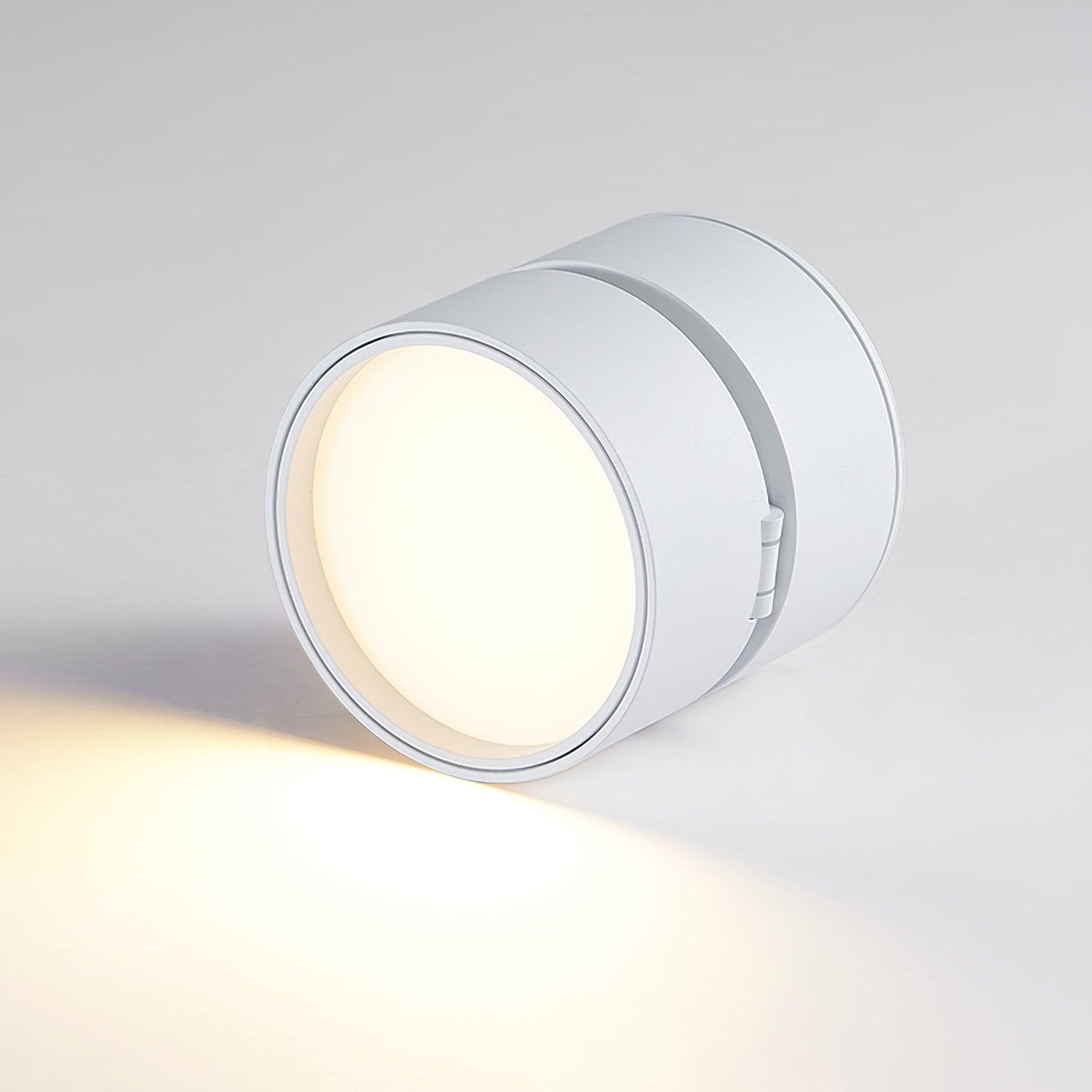 Modern Adjustable Ceiling Spotlights