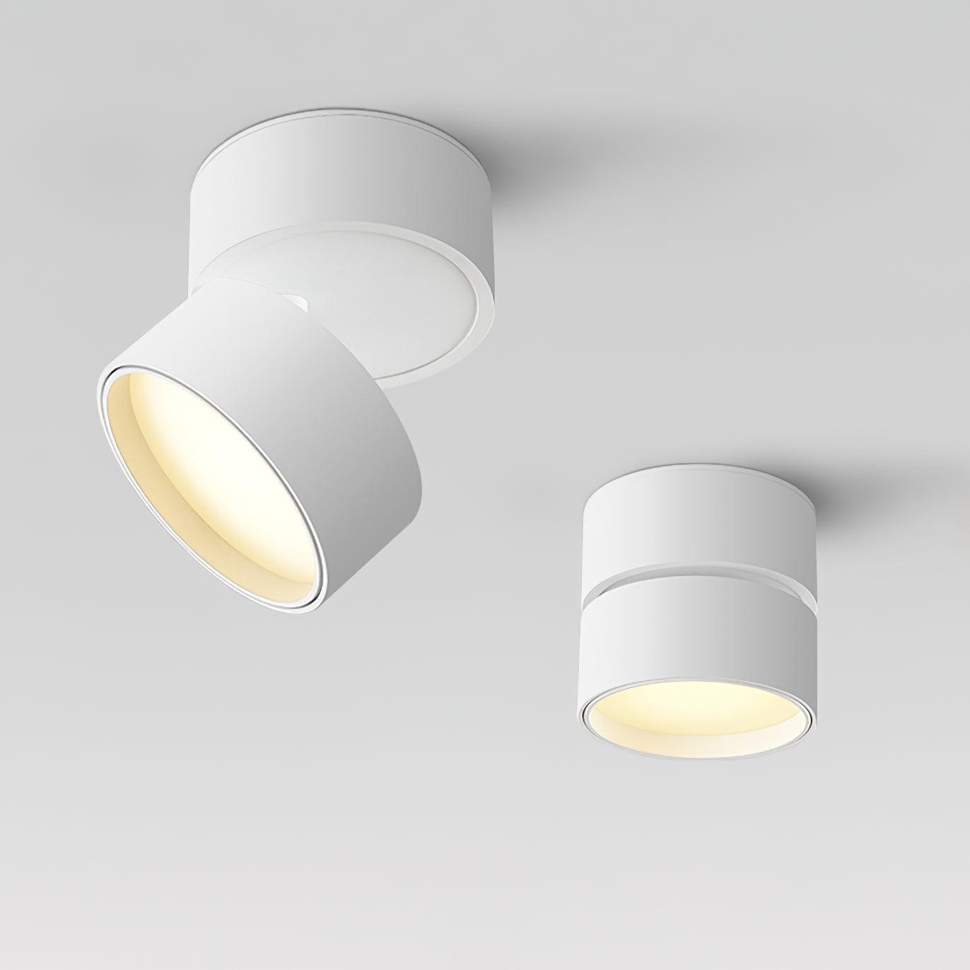 Modern Adjustable Ceiling Spotlights