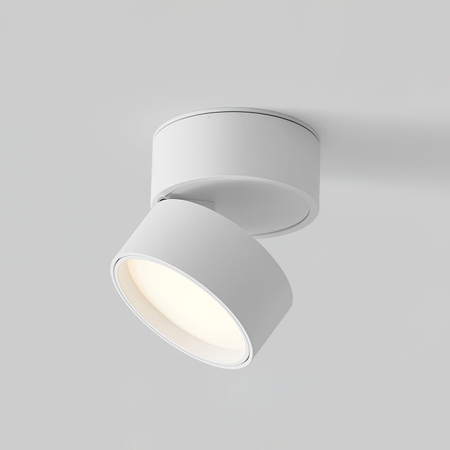 Modern Adjustable Ceiling Spotlights