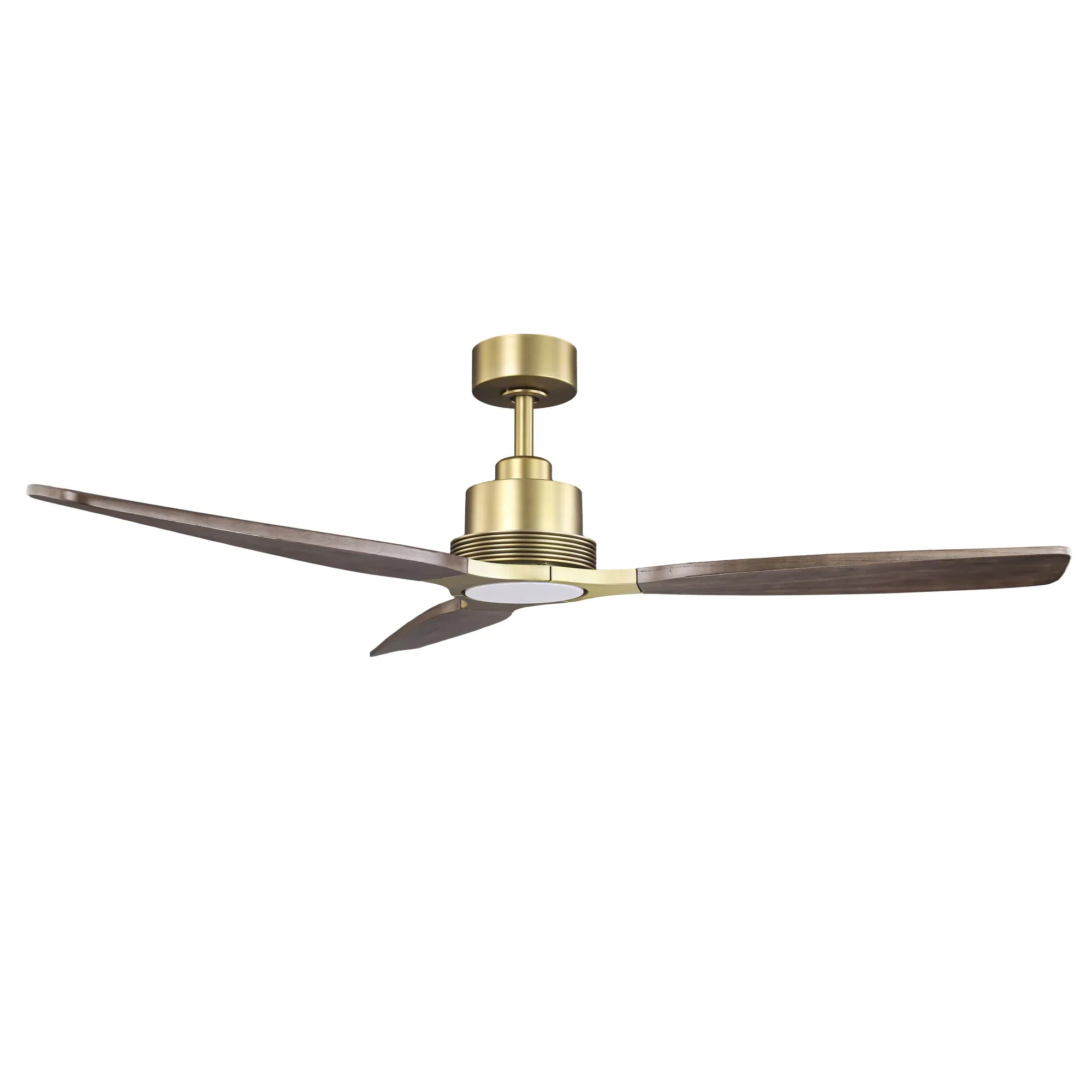 Modern Ceiling Fan with Wood Blades and LED