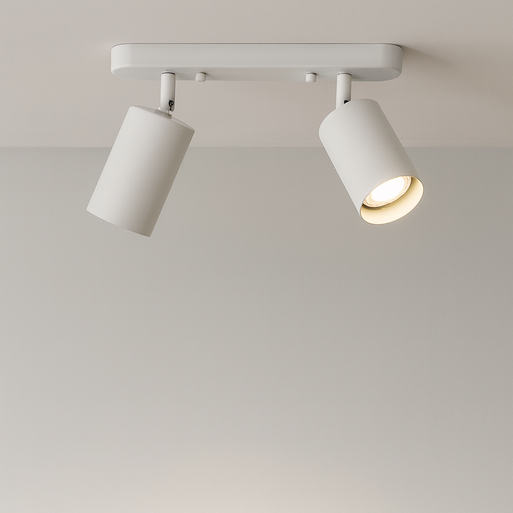 Modern Dual Head Ceiling Spotlights