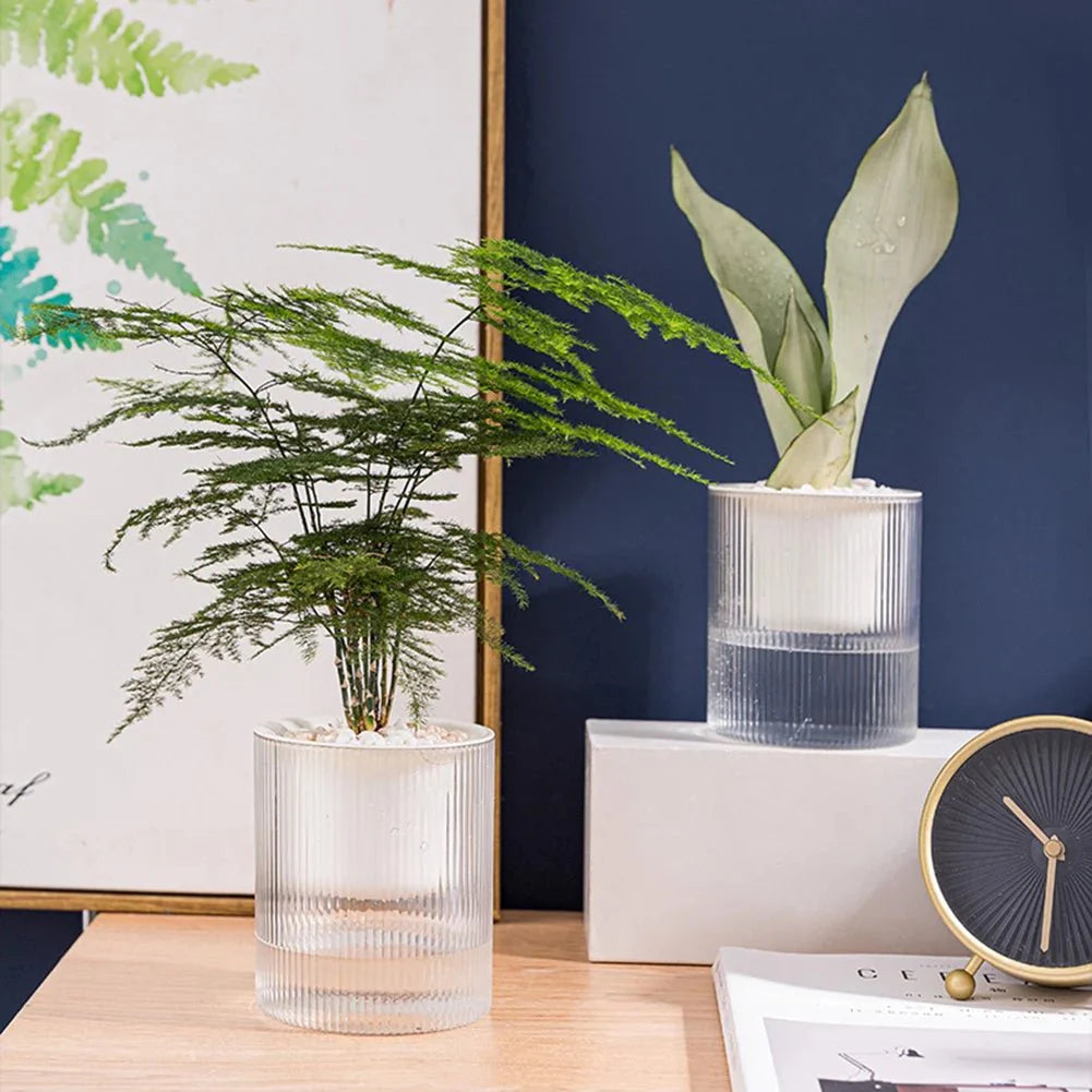 Self-Watering Indoor Planter with Modern Glass Design
