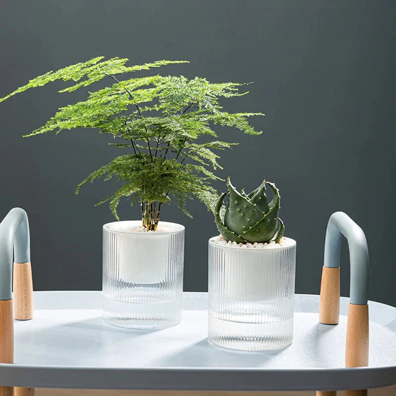Self-Watering Indoor Planter with Modern Glass Design