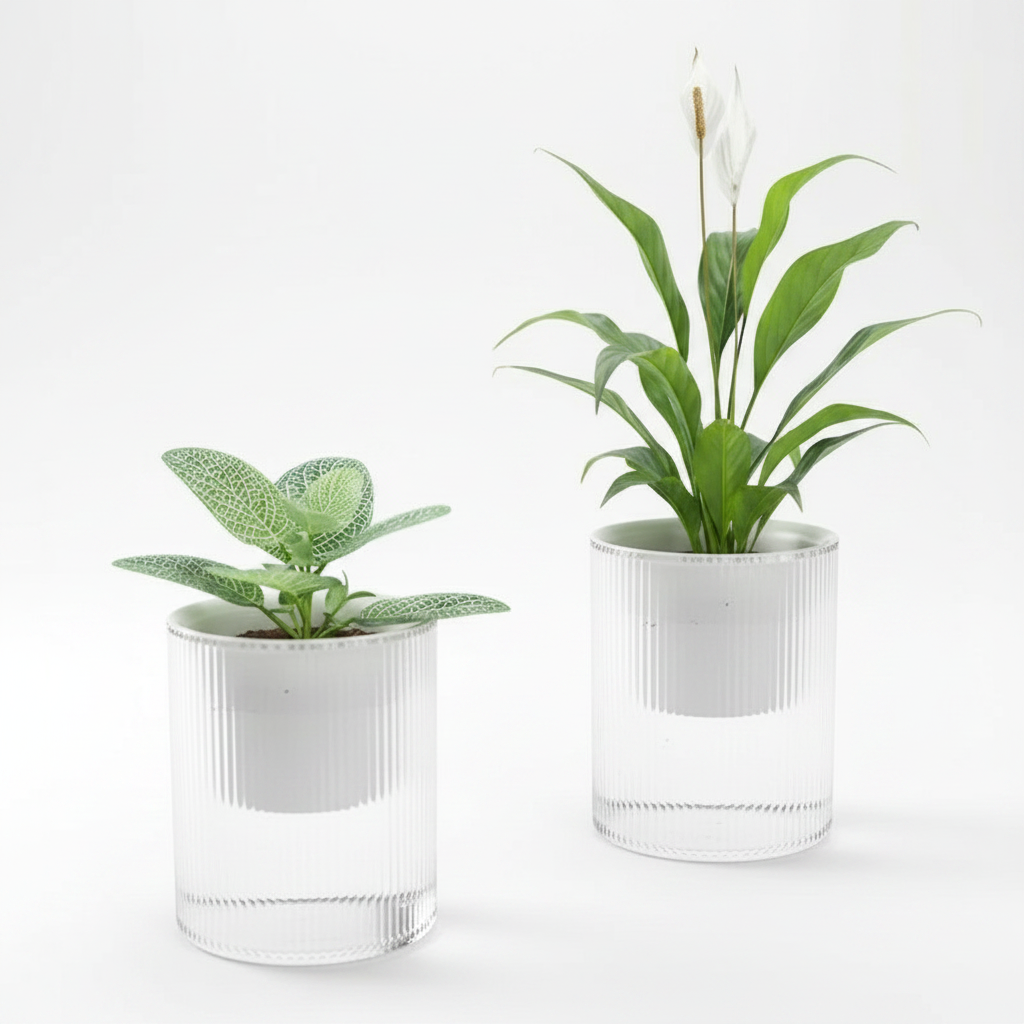 Self-Watering Indoor Planter with Modern Glass Design