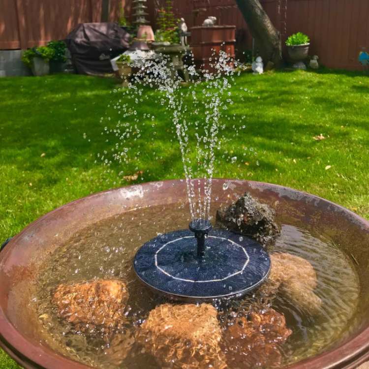 Solar Fountain Pump with Floating Garden Design