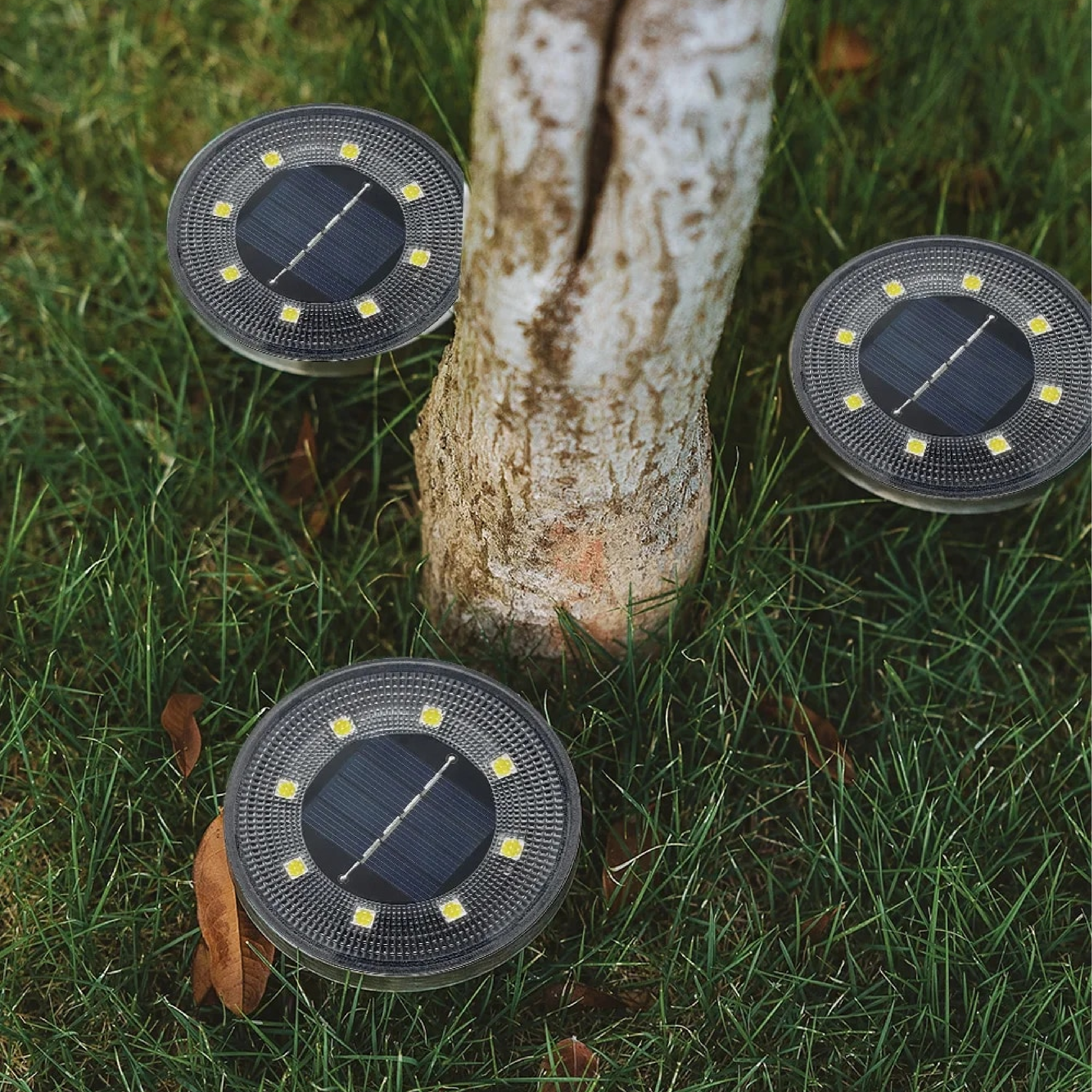 Solar Ground Garden Spotlights