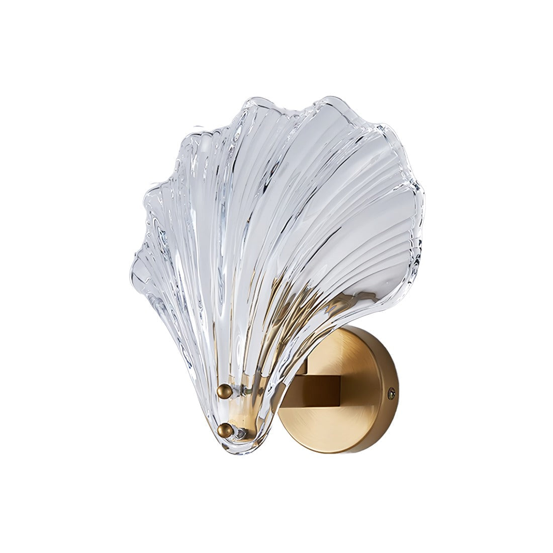 Brass Glass Seashell Wall Sconce with LED