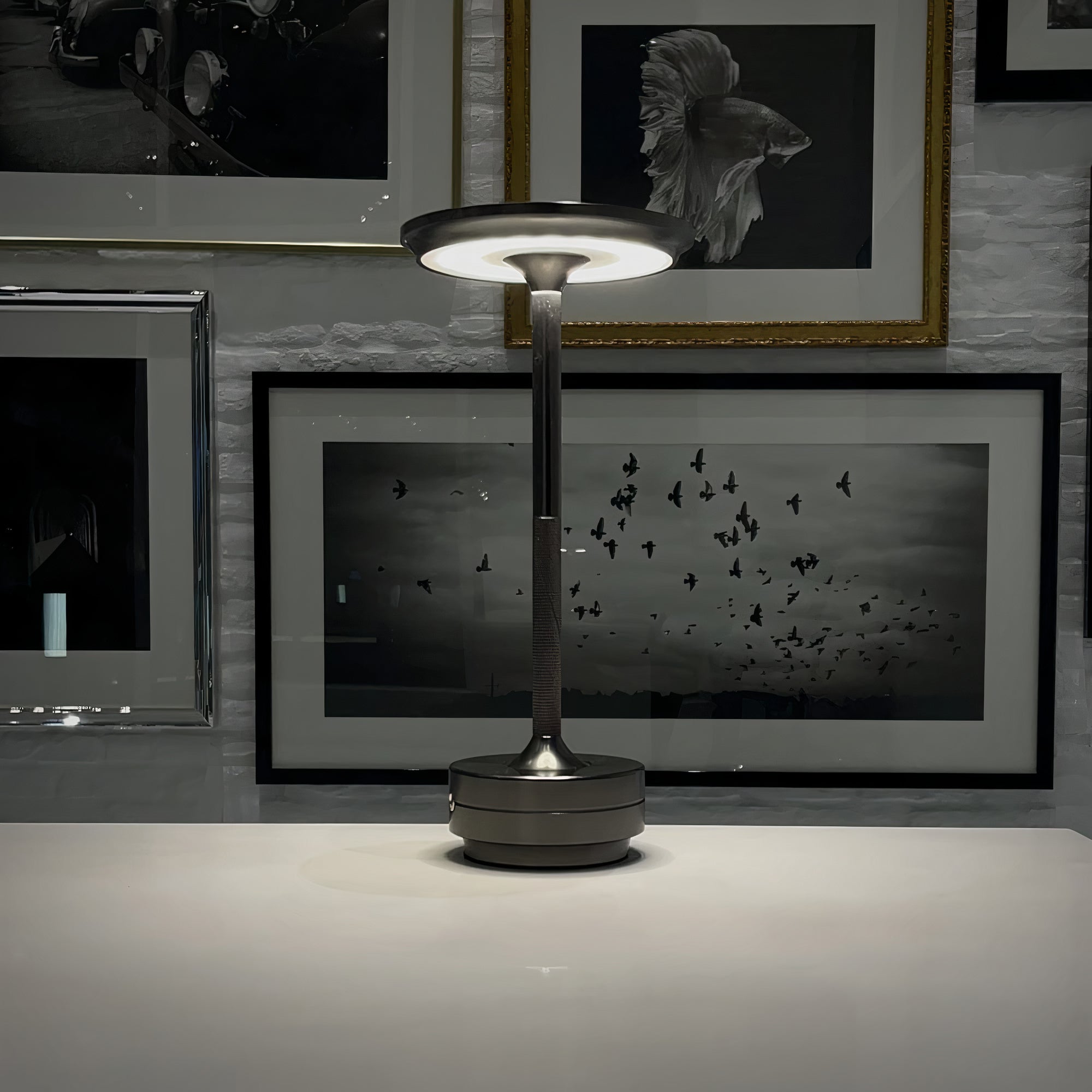 Cordless Table Lamp with Touch Dimming Light