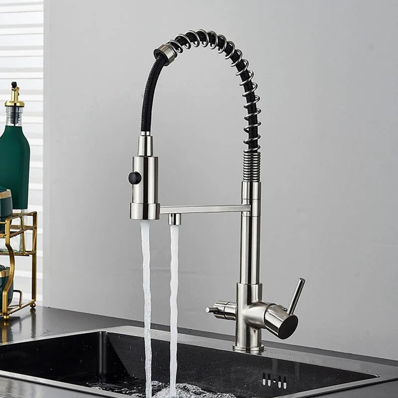 Kitchen Sink Tap with Pull Down Spray and Filter