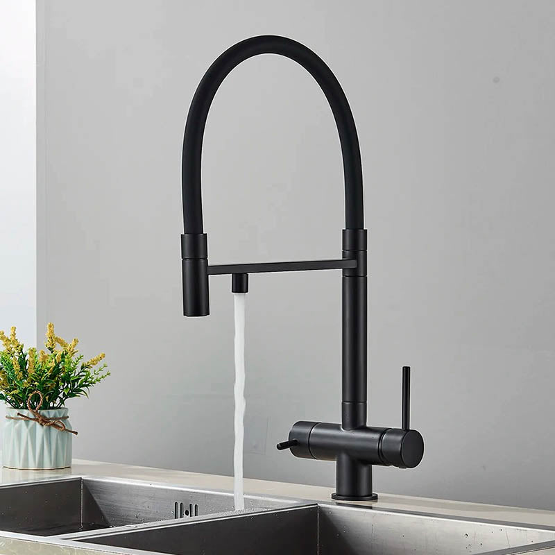 Kitchen Sink Tap with Pull Down Spray and Filter