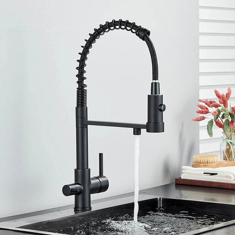Kitchen Sink Tap with Pull Down Spray and Filter