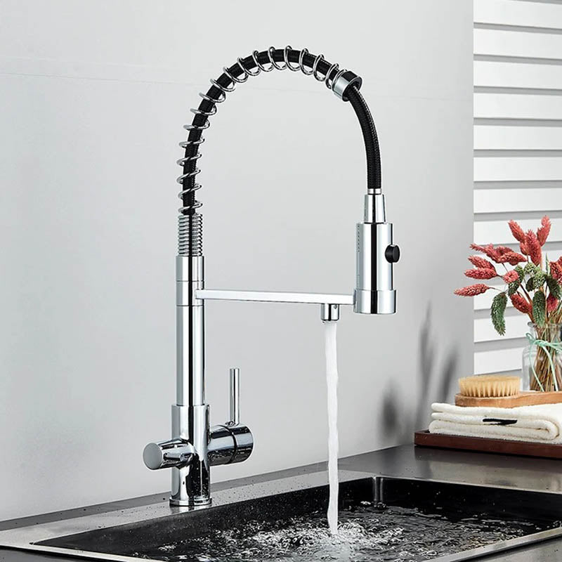 Kitchen Sink Tap with Pull Down Spray and Filter