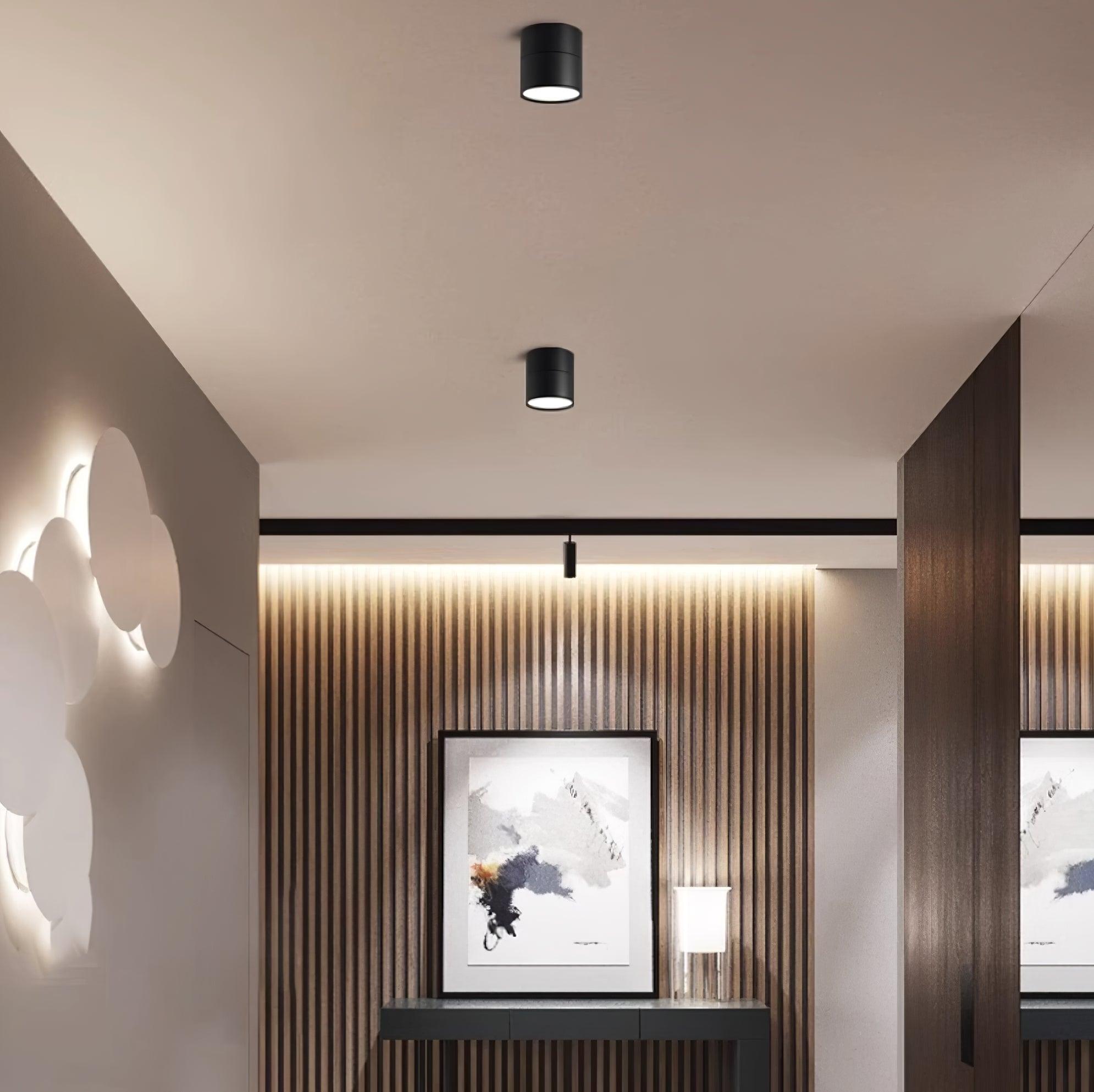 Modern Adjustable Ceiling Spotlights