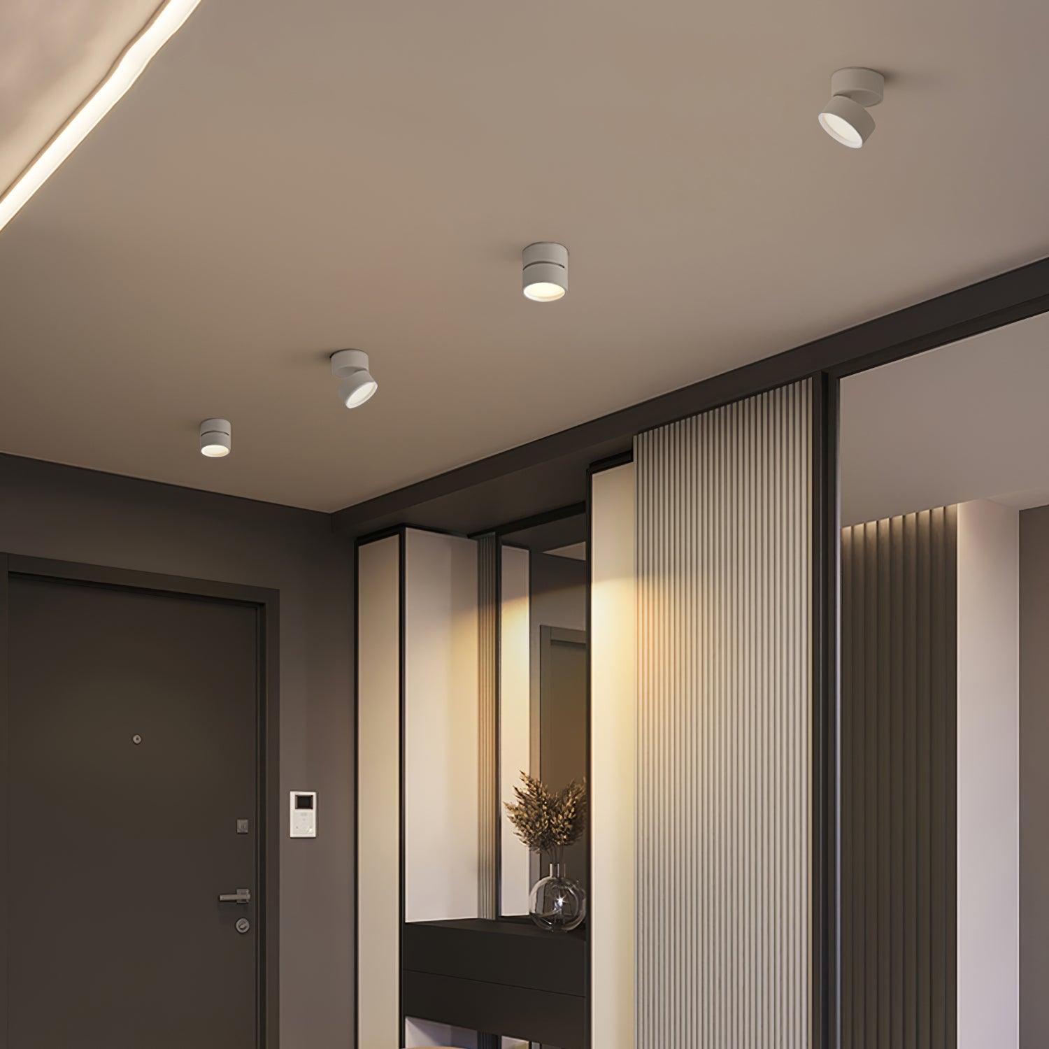 Modern Adjustable Ceiling Spotlights
