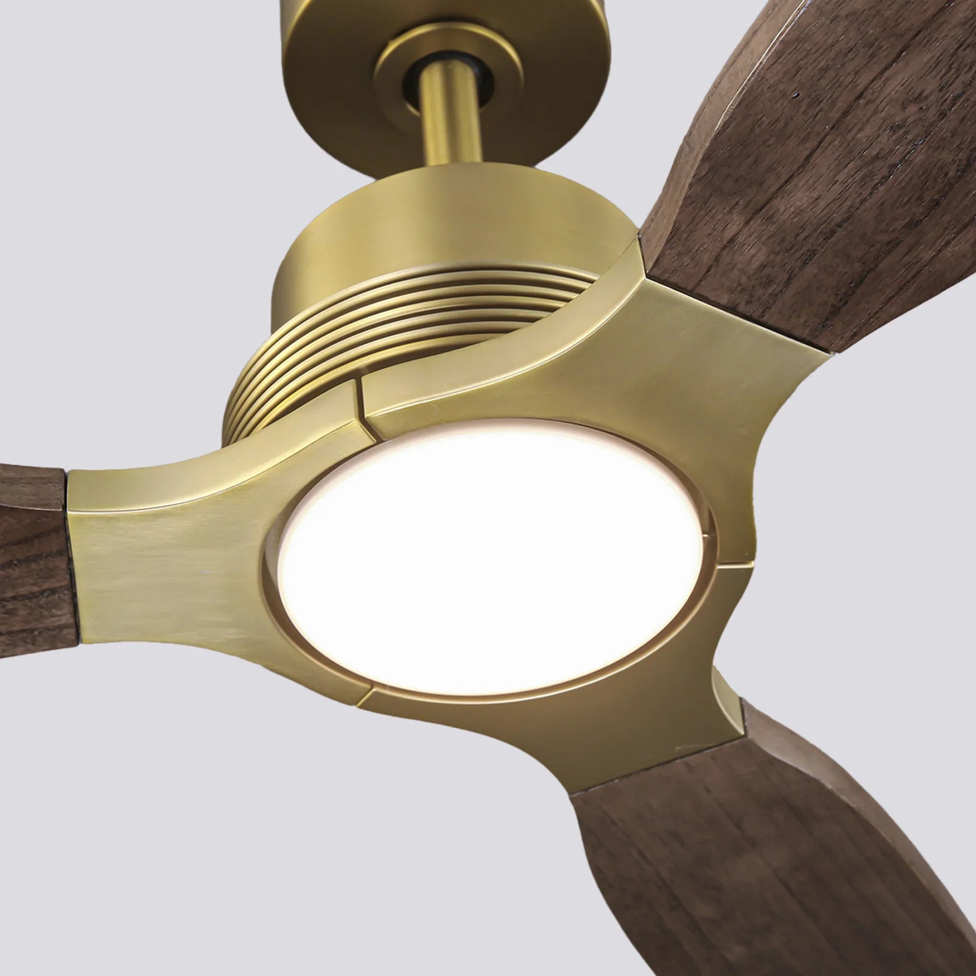Modern Ceiling Fan with Wood Blades and LED