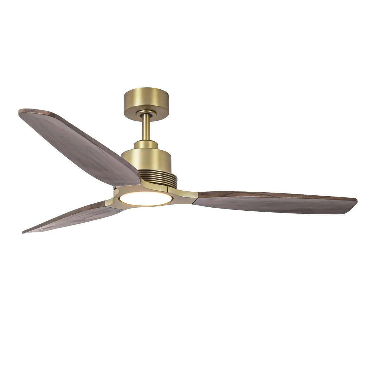 Modern Ceiling Fan with Wood Blades and LED