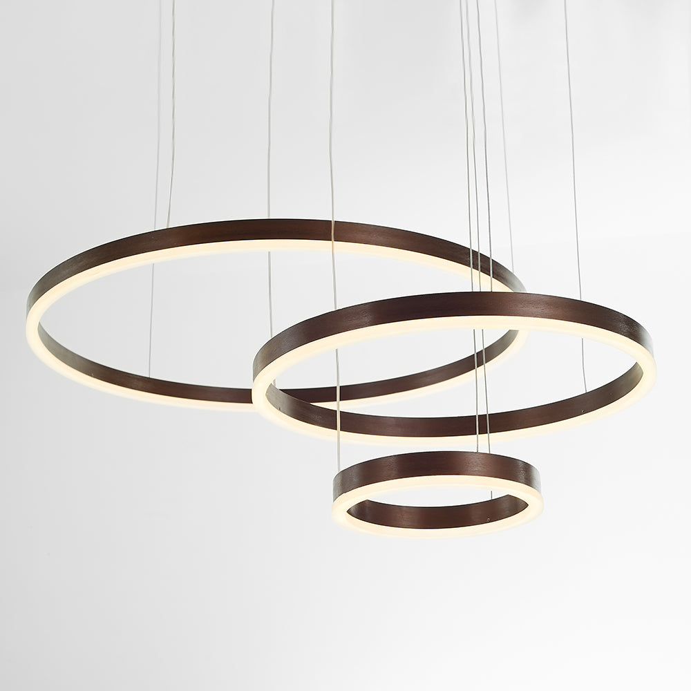 Modern Double Ring Light with LED Halo Design