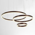 Modern Double Ring Light with LED Halo Design