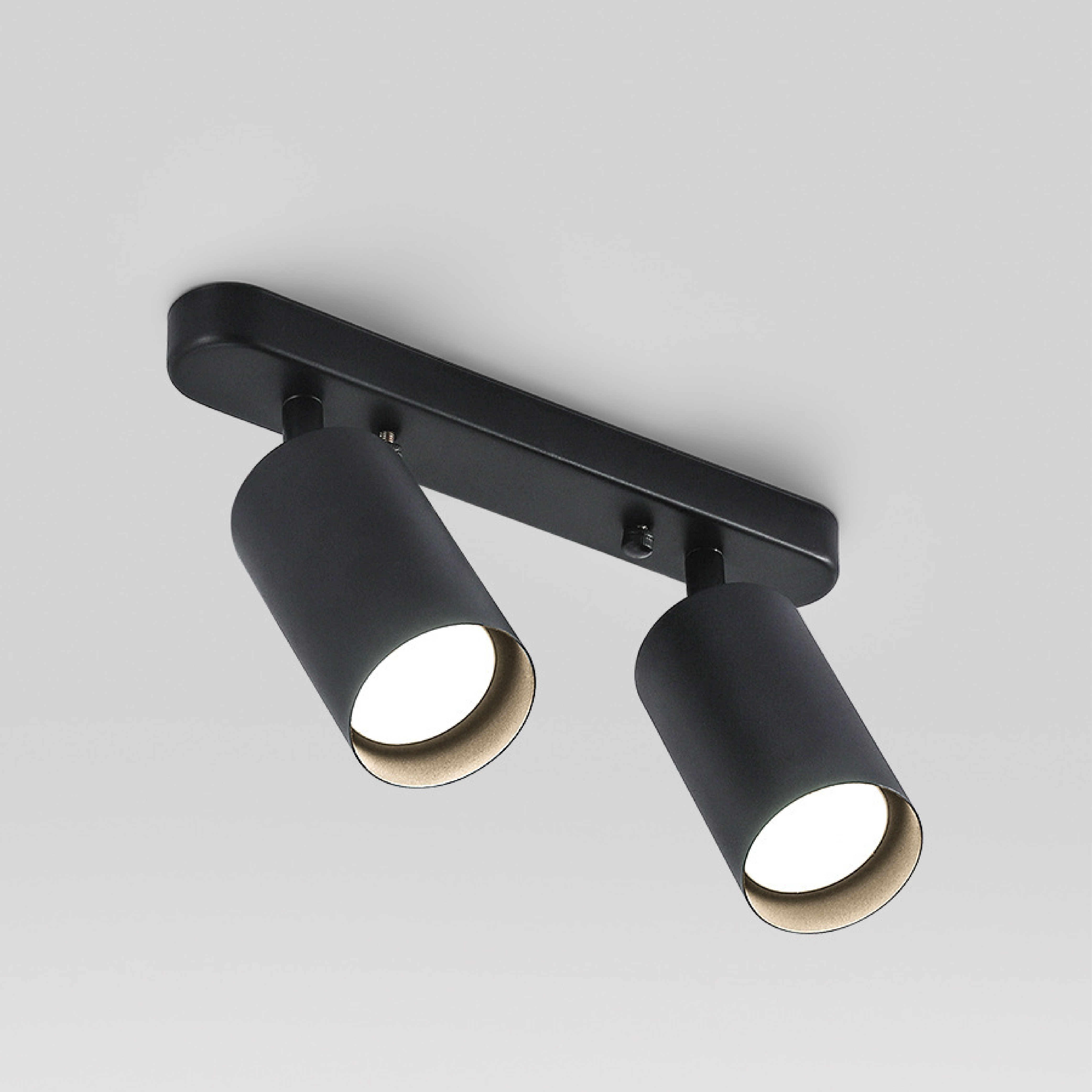 Modern Dual Head Ceiling Spotlights