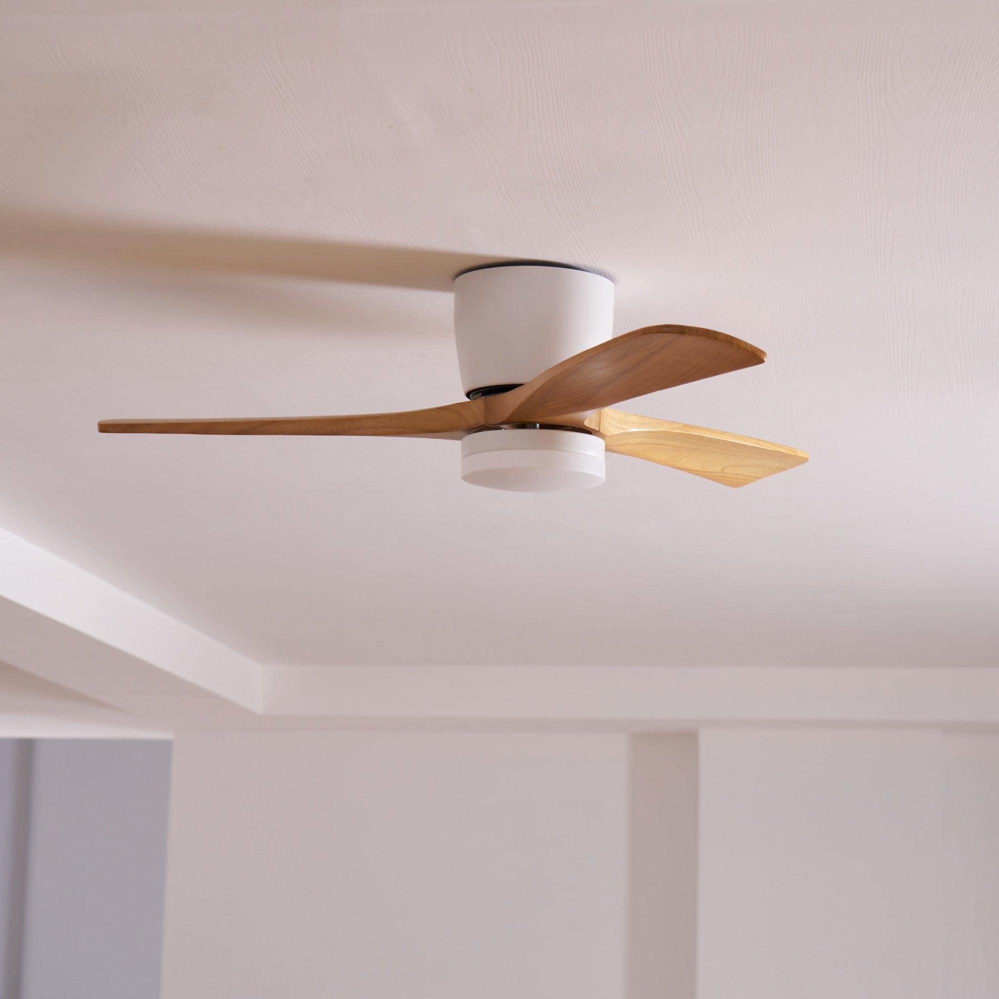 Modern Wooden Outdoor Ceiling Fan with Light