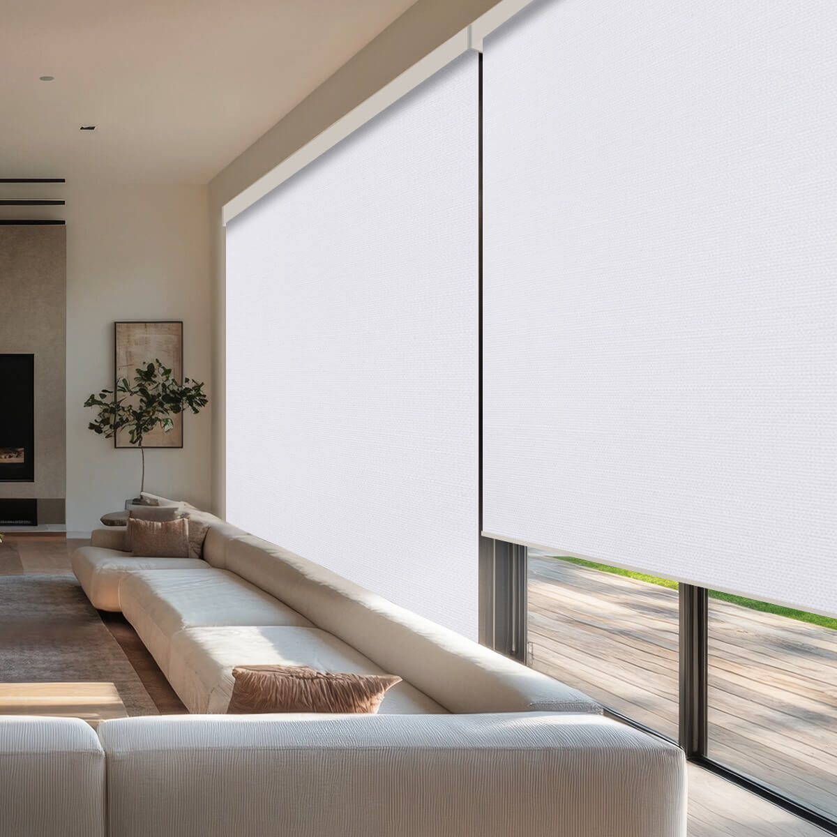 Motorized Blackout Roller Shades for Ultimate Light Control and Privacy