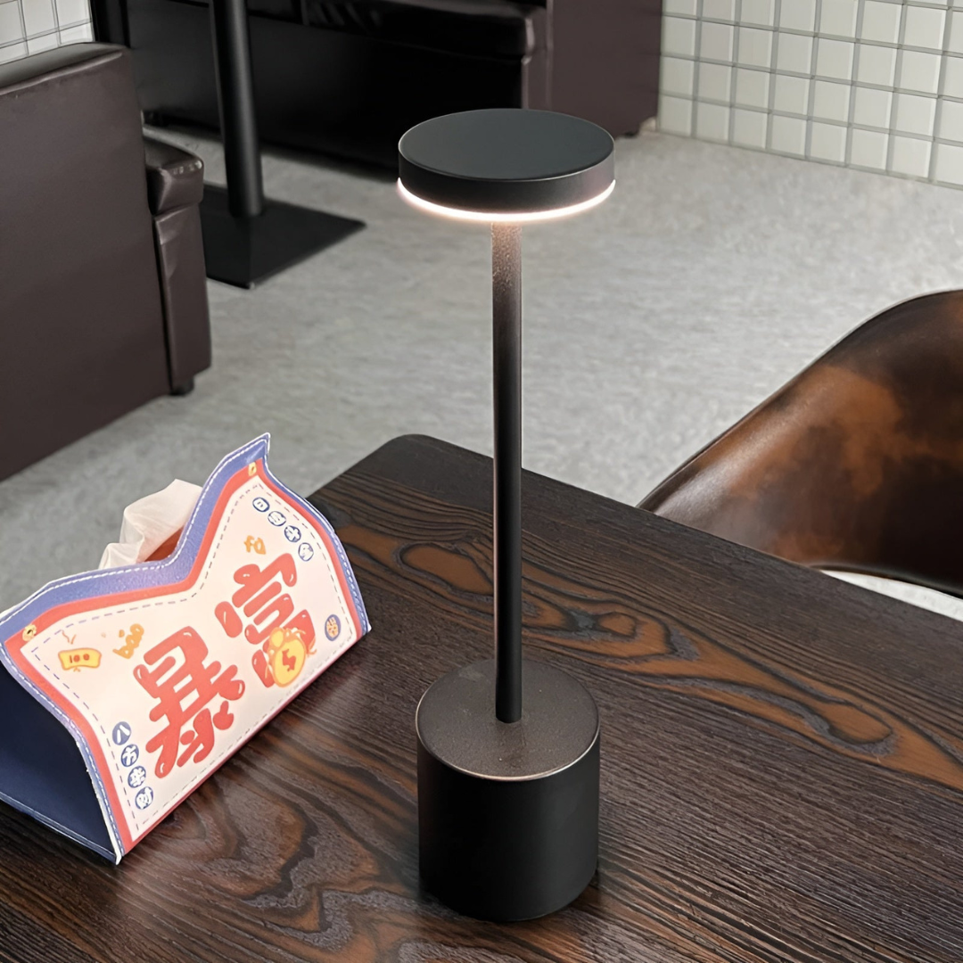 Rechargeable LED Table Lamp with Touch Dimmer