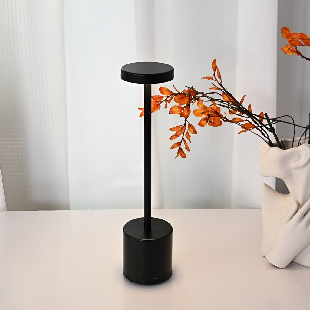 Rechargeable LED Table Lamp with Touch Dimmer