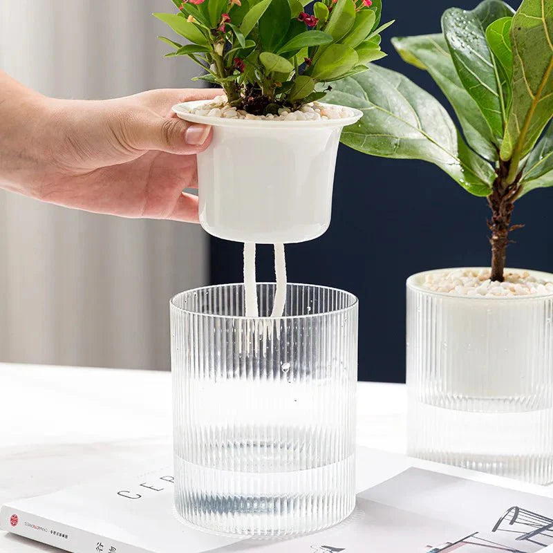 Self-Watering Indoor Planter with Modern Glass Design