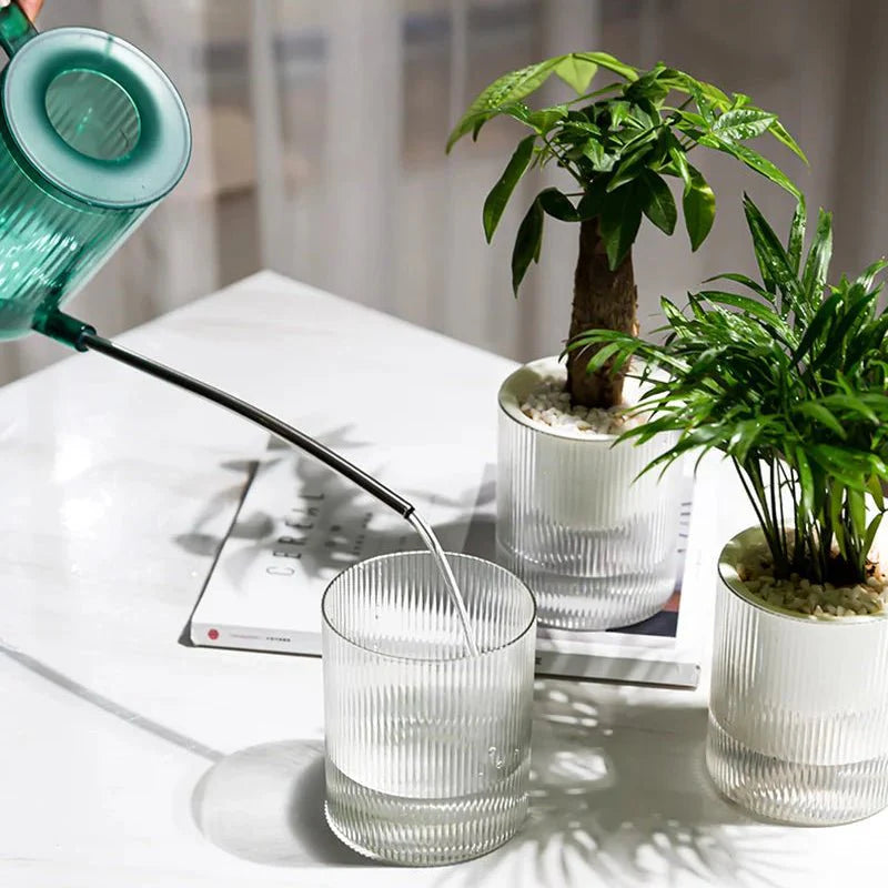 Self-Watering Indoor Planter with Modern Glass Design