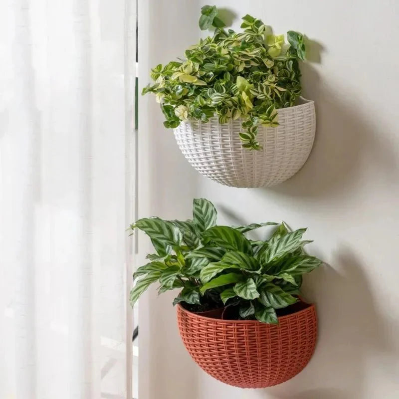 Wall-Mounted Rattan Planters for Stylish Vertical Greenery